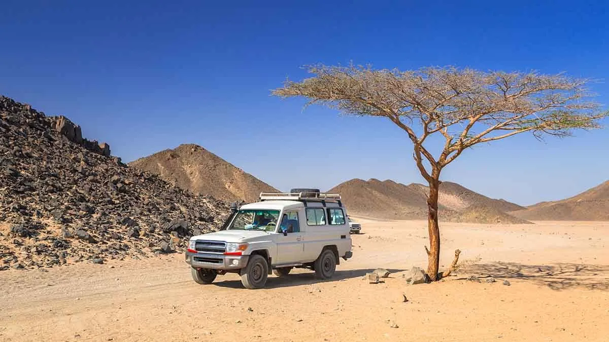 Magic of Hurghada – 6 Days Red Sea Getaway
