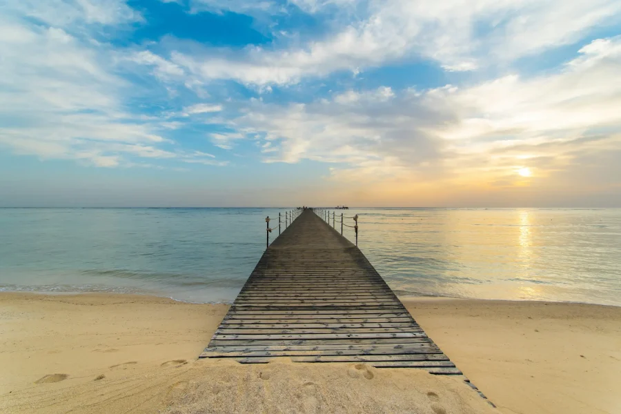 Escape to Marsa Alam: Sun, Sea, and Safari
