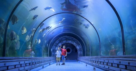 Discover the Magic of Egypt: cairo,Aswan,Luxor,Hurghada