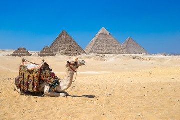 Cairo