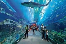 Discover the Magic of Egypt: cairo,Aswan,Luxor,Hurghada