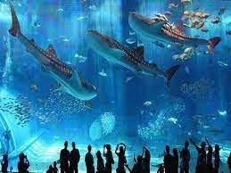 Hurghada Chalet 7 Days: Where the beauty of nature meets the blue of the water