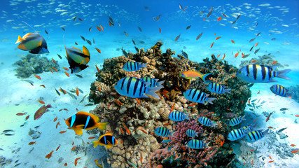 the Magic of Egypt: Cairo, Aswan, Luxor, Hurghada