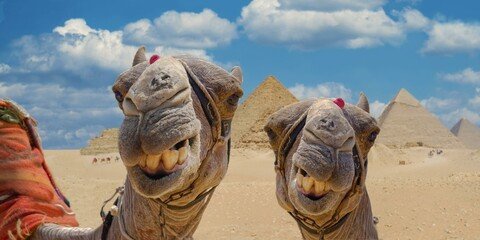 the Magic of Egypt: Cairo, Aswan, Luxor, Hurghada