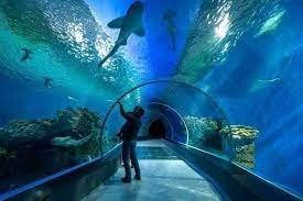 the Magic of Egypt: Cairo, Aswan, Luxor, Hurghada